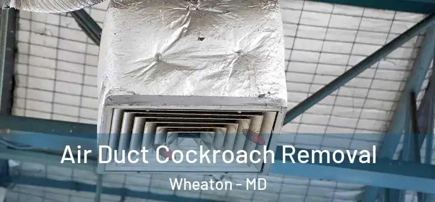 Air Duct Cockroach Removal Wheaton - MD
