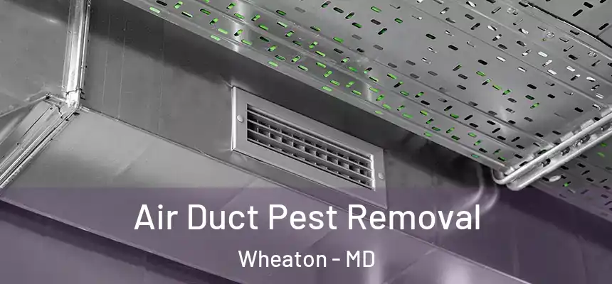 Air Duct Pest Removal Wheaton - MD