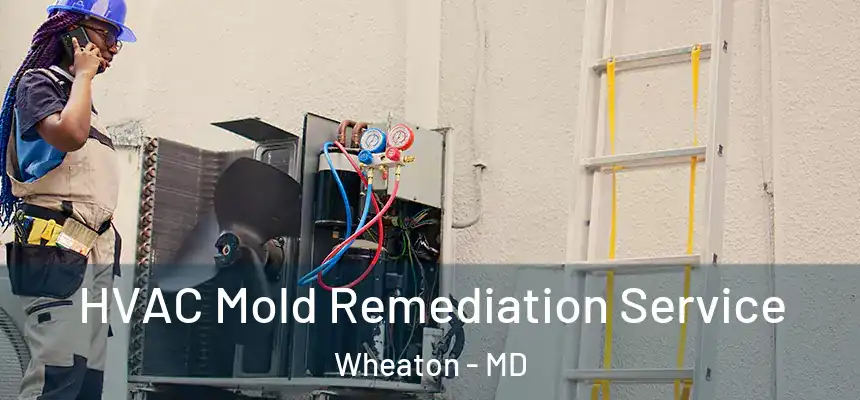  HVAC Mold Remediation Service Wheaton - MD