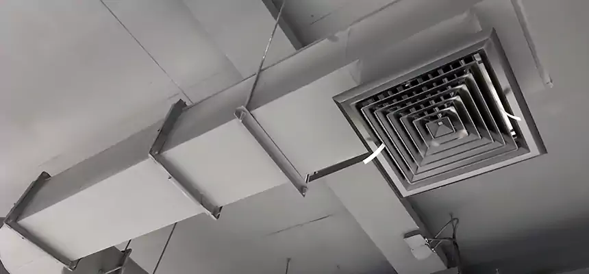 Our Pest Removal From Ducts Services in Wheaton, MD