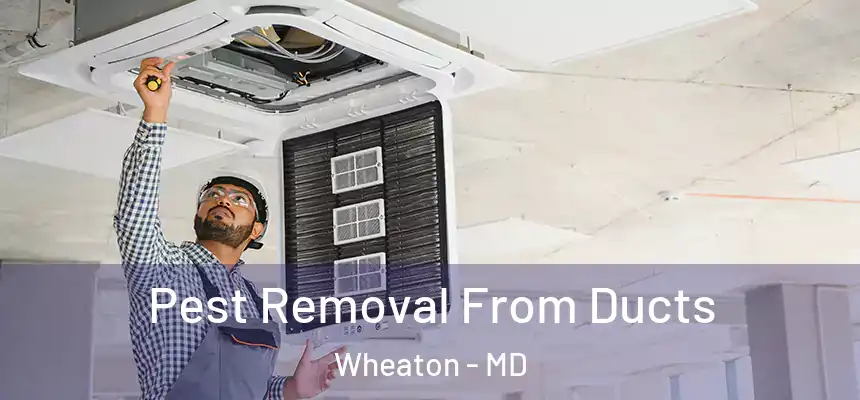 Pest Removal From Ducts Wheaton - MD