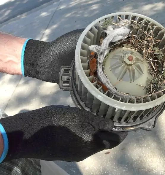 About Air Duct Rat Removal in Wheaton, MD