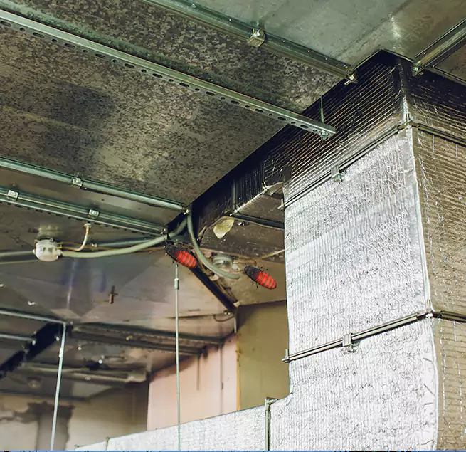 Why Homeowners & Businesses Trust Us in Wheaton, MD?