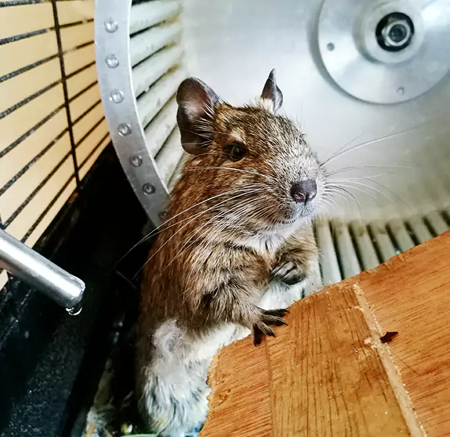 Why Homeowners & Businesses Trust Us Wheaton, MD