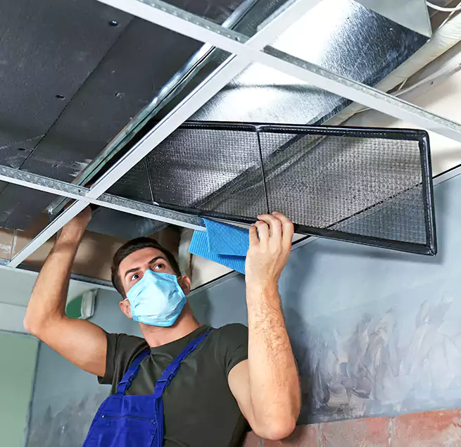 Why Homeowners Businesses Trust Us in Wheaton, MD