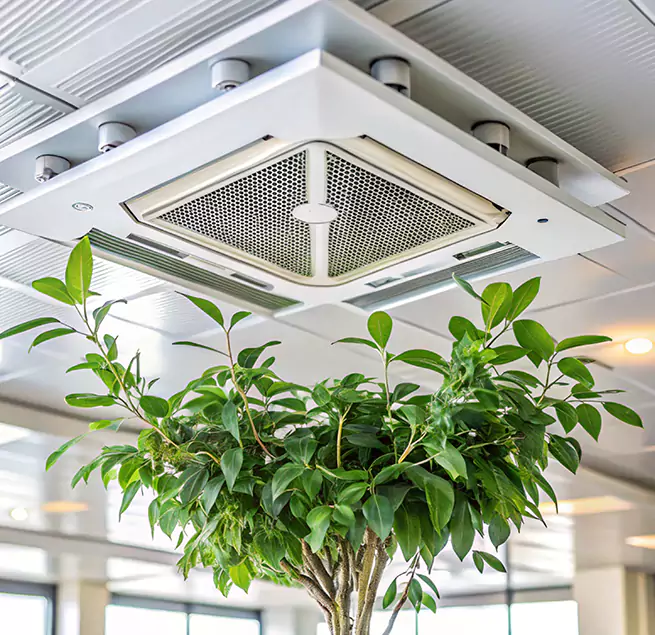 Why Homeowners & Businesses Trust Us in Wheaton, MD